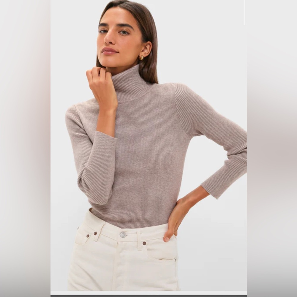 EUC Tuckernuck Pomander Place Oat Arlo Classic Knit Ribbed Turtleneck